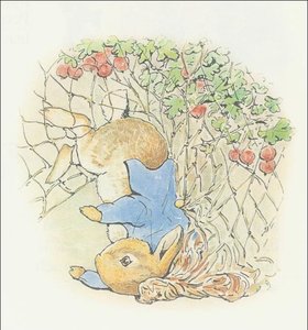 Peter Rabbit 15a - (11x11) — Beatrix Potter