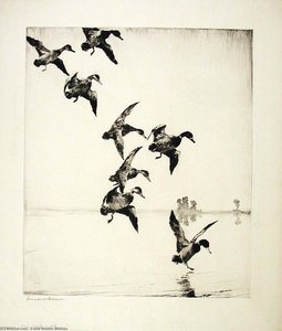 Mallards At Evening — Frank Weston Benson