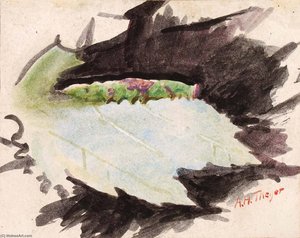 Heterocampa Biundata, Walker, Study For Book Concealing Coloration In The Animal Kingdom — Abbott Handerson Thayer