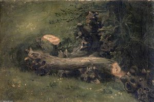 Felled Tree