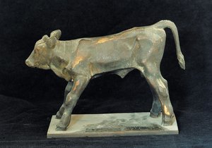 Calf n° 1