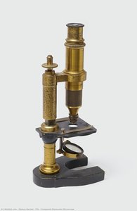 Compound Monocular Microscope