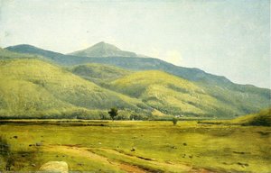 Fields In Summer — William Hart