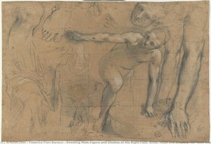 Kneeling Male Figure And Studies Of His Right Foot, Arms, Head And Drapery (for “last Supper”, Urbino, Cathedral Of Santa Maria Vergine Assunta) — Federico Fiori Barocci