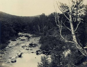 Ellis River, White Mountains — Charles L Mitchell