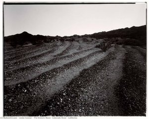 Pre Historic Maze, Colorado River, California — Linda Connor
