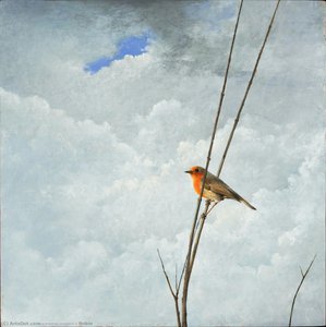 Robin — Максим Никифорович Воробьёв