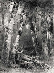Group Of Trees, (painting) — Asher Brown Durand