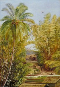 Bamboos And Cocoanut Palm — Marijana Nort, Victorian Botanical Painting