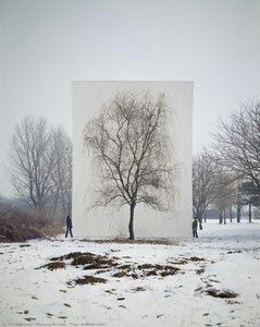 Tree #3(work View) — Myoung Ho Lee