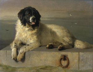A Distinguished Member Of The Humane Society — Sir Edwin Henry Landseer, Victorian Realism