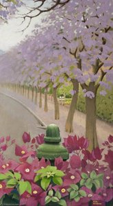 Bougainvillea And A Jacaranda Avenue — Keith Henderson