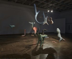 Fruits\n\nfruits — Kamil Kukla