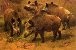 Four Boars In A Landscape — Rosa Bonheur