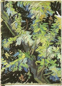 Blossoming Acacia Branches — Vincent Willem Van Gogh, Post-impressionism