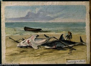 Man Measuring Two Dead Sharks On A Beach — Thomas Baines
