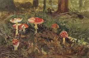 Amanita — Ivan Ivanovich Shishkin