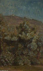 Hilly Landscape With Pink Flowering Shrubs