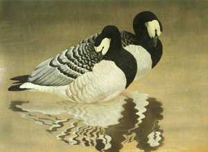 Two Barnacle Geese