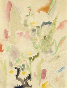 Field Flowers — Charles Demuth