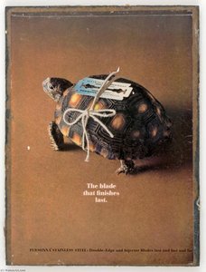 Untitled (turtle With Double Edged Razor) — Joseph Cornell
