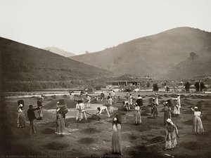 Slaves On A Coffee Farm At Vale Do Paraíba, Rj. Brazil — Mark Ferz