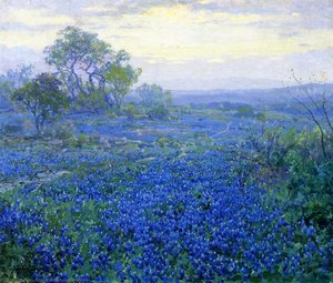 A Cloudy Day, Bluebonnets near San Antonio, Texas