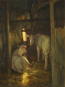 A Shaft of Light