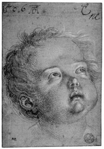 Child's Head — Albrecht Dürer, Northern Renaissance