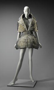 Anthozoa 3d Cape And Skirt — Iris Van Herpen, Neri Oxman, Contemporary