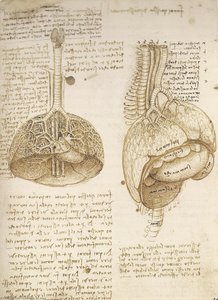 Caverna Con Patos — Leonardo Da Vinci, Renacimiento