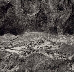 Bear Cove, Spirit Lake, Mount St. Helens, Washington — Emmet Gowin