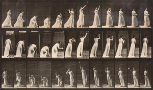 Woman Picking Up A Ball And Throwing It, From The Book Animal Locomotion — Eadweard J Muybridge