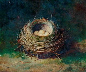 Nest Of A Blackbird — Abel Hold, Realism