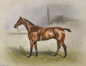 Blackmore — Basil Nightingale