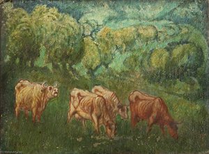 Cattle