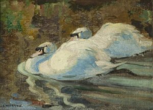 Swans