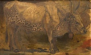 Roman Ox (Standing)