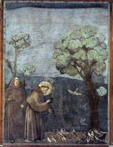 St. Francis Preaching To The Birds — Giotto Di Bondone, Proto Renaissance