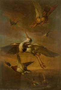 A Hawk Striking At A Heron — Thomas Stringer