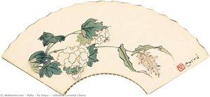 Hibiscus Cornelia Cherry — Puru ( Pu Xinyu)