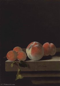 Peaches and apricots on a stone ledge