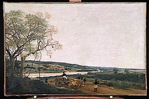 LE CHAR A BOEUF. PAYSAGE BRESILIEN