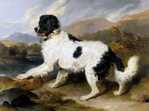 'lion', A Newfoundland Dog — Sir Edwin Henry Landseer
