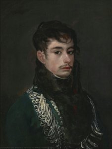 Ein Offizier (conde De Teba?) — Francisco José De Goya Y Lucientes, Romantic Realism