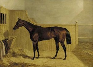 Mr Ridsdale's Bloomsbury, Winner Of The 1839 Derby, In A Stable — John Frederick Herring Senior