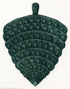 Pf 1979 — Oleksandr Aksinin