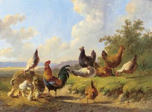 Poultry In A Meadow — Albertus Verhoesen