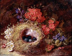 Still Life Of A Bird's Nest And Blossom