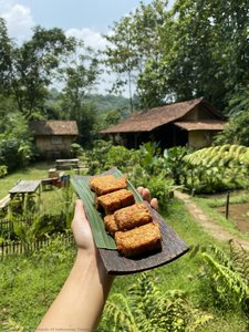 Tempeh — Driando Of Indonesian Tempe Movement